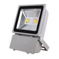10W-100W LED景观泛光灯